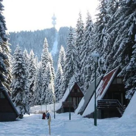 Malina Ex Malina Apartment Borovets