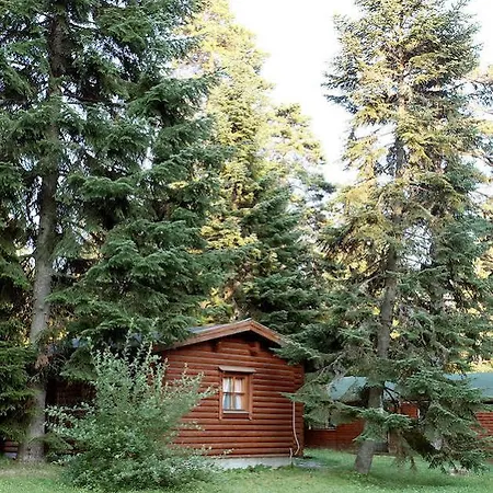 Malina Ex Malina
