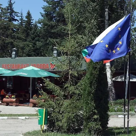 Malina Ex Malina *